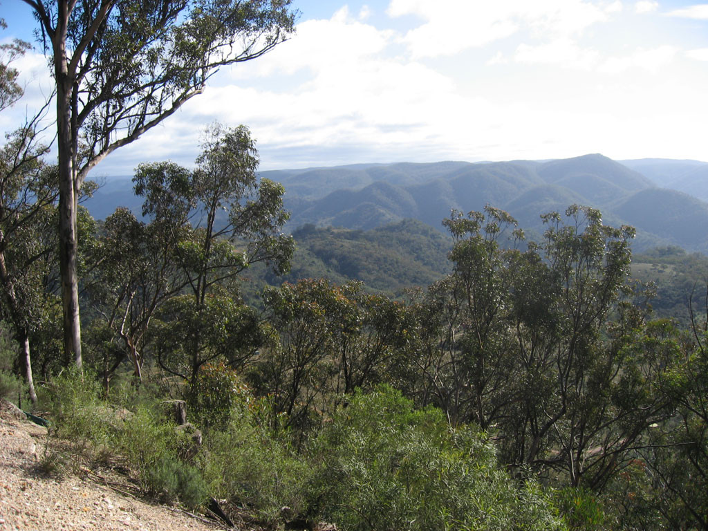 Nattai National Park