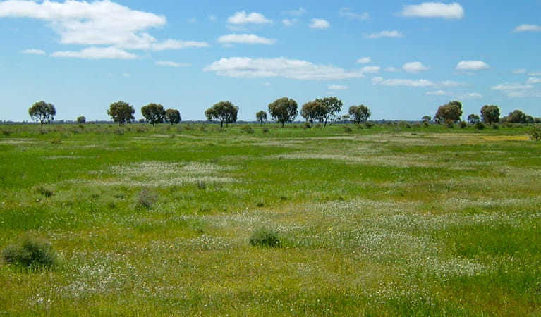 Oolambeyan National Park