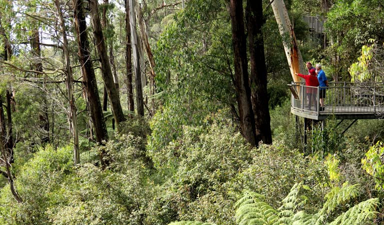 South East Forests National Park