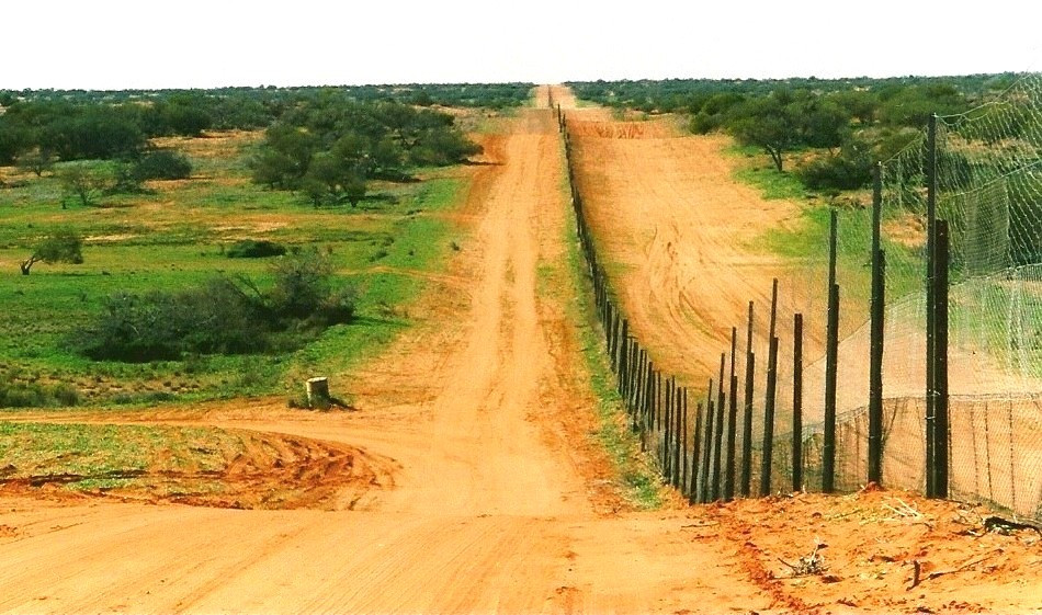 Sturt National Park