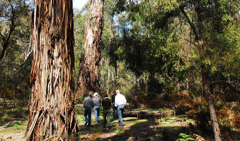 Tallaganda National Park