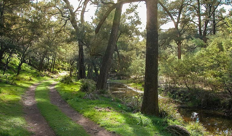 Turon National Park