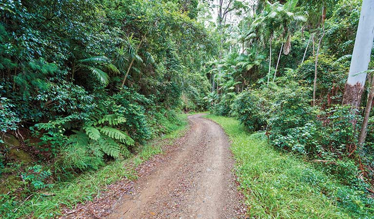 Ulidarra National Park