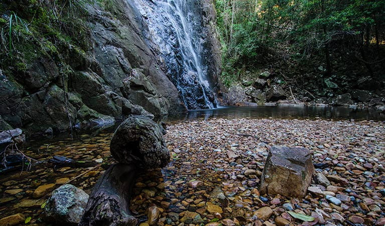 Willi Willi National Park