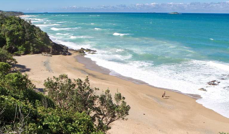 Coffs Coast State Park