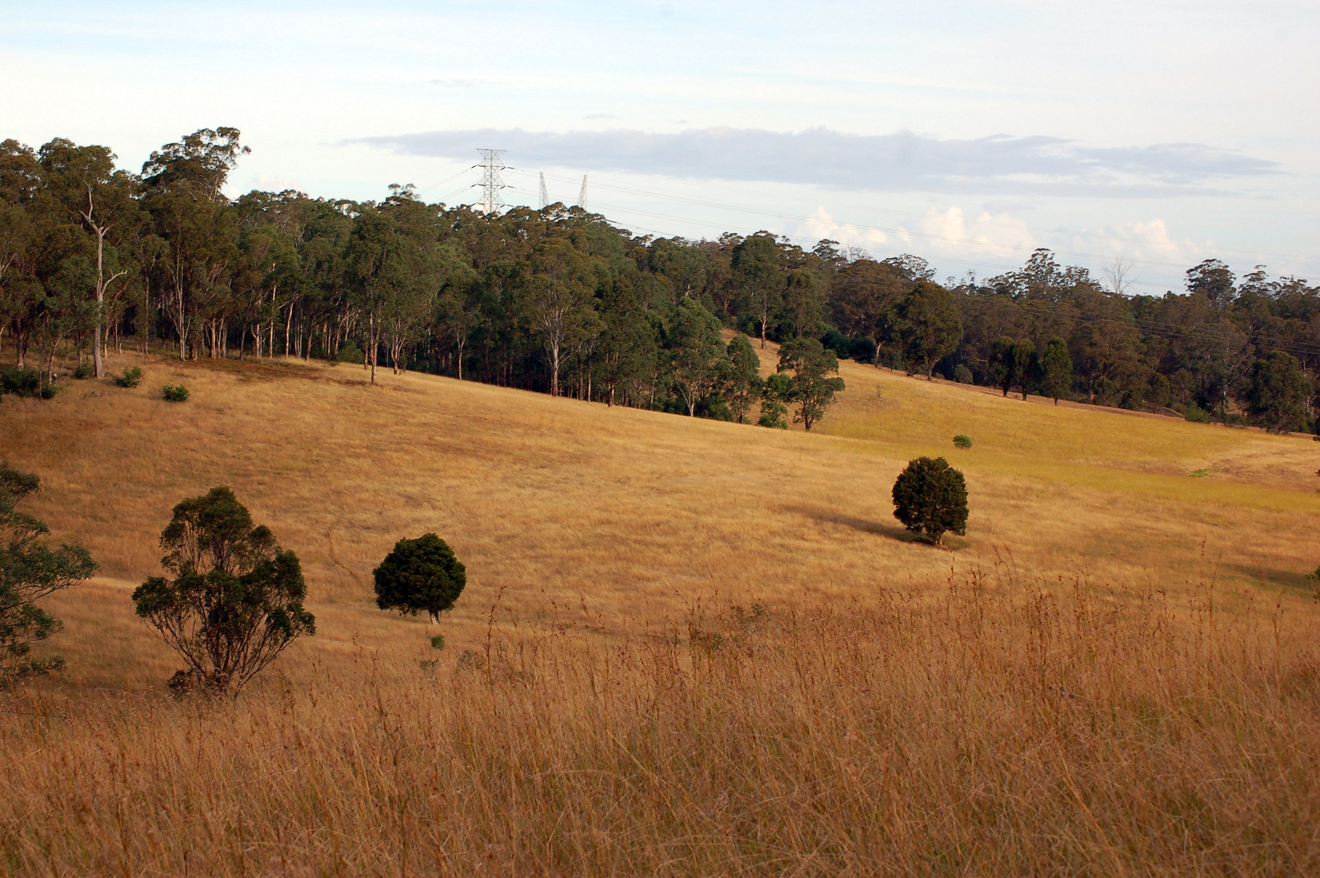 Western Sydney Parklands