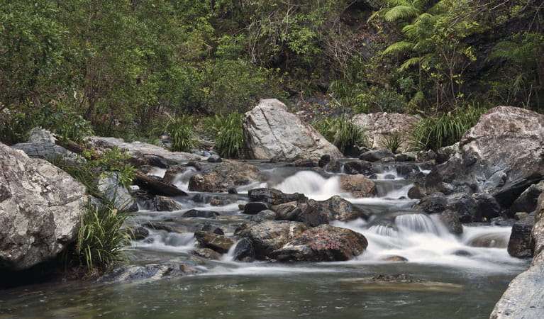 Bindarri State Conservation Area