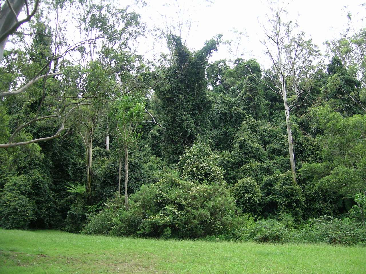 Cottan-Bimbang State Conservation Area