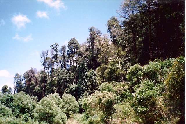 Mount Hyland State Conservation Area