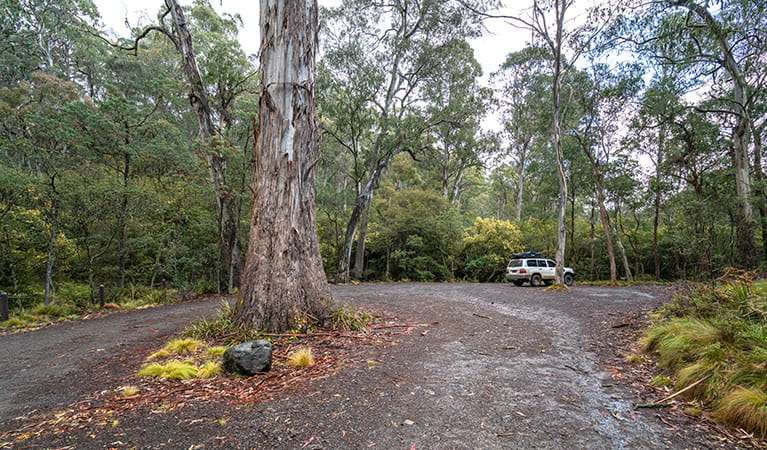 Polblue State Conservation Area