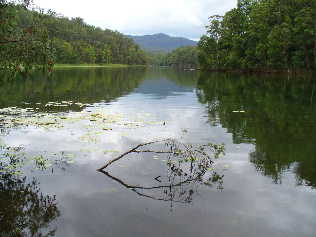 Toonumbar State Conservation Area