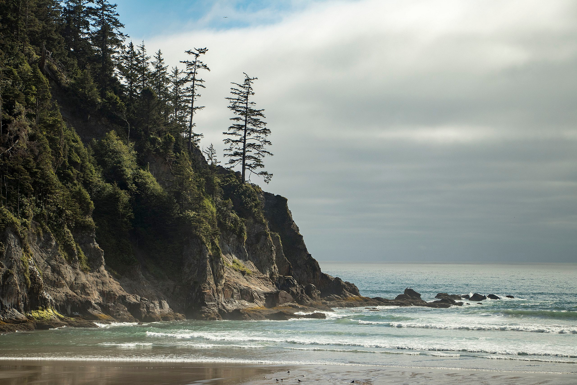 Oswald West State Park
