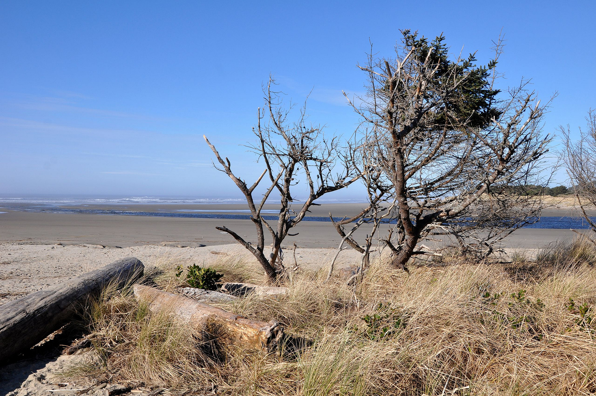 Brian Booth State Park
