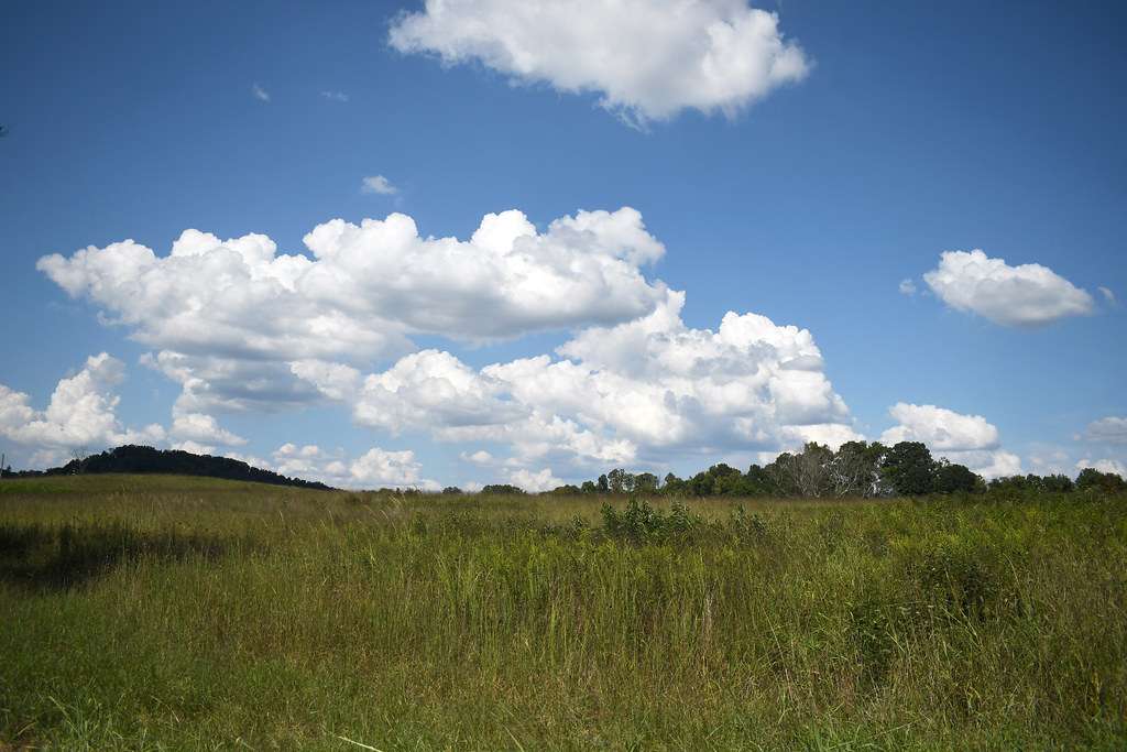 Seven Islands State Birding Park