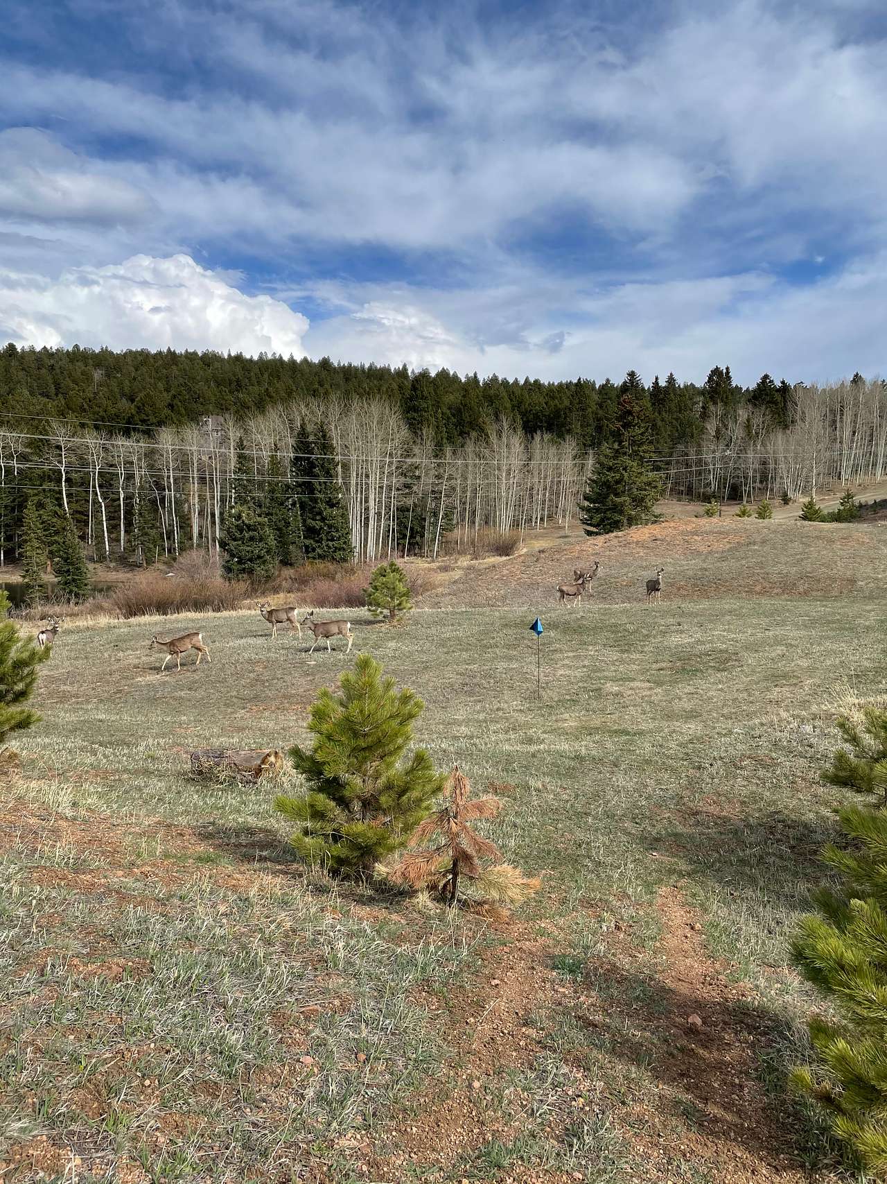 Site 2