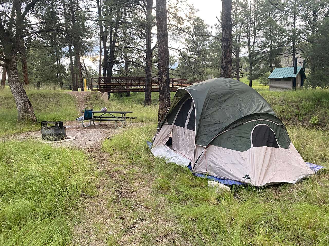 Campsite -  8 person tent being set up