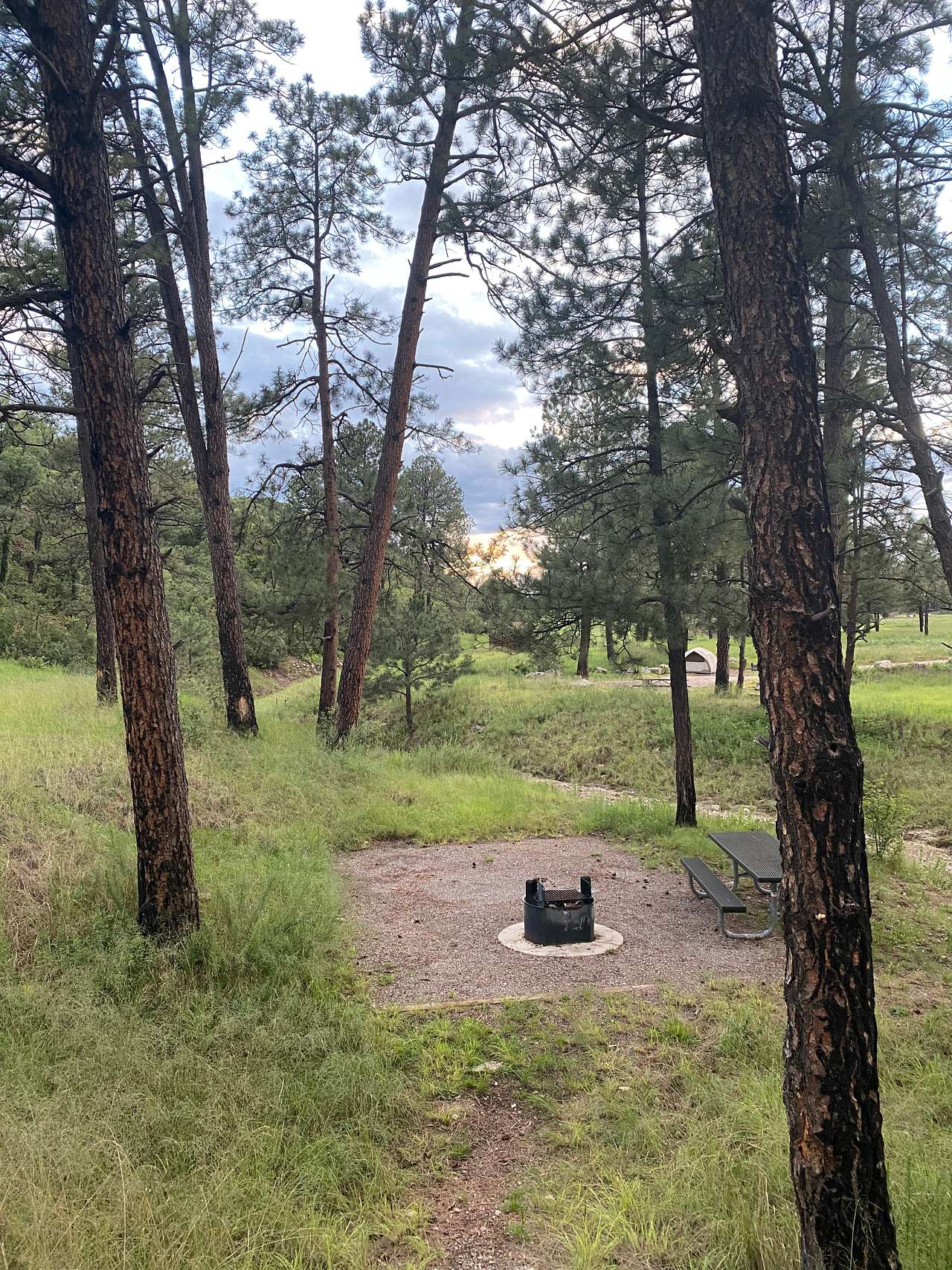 Campsite which is bare