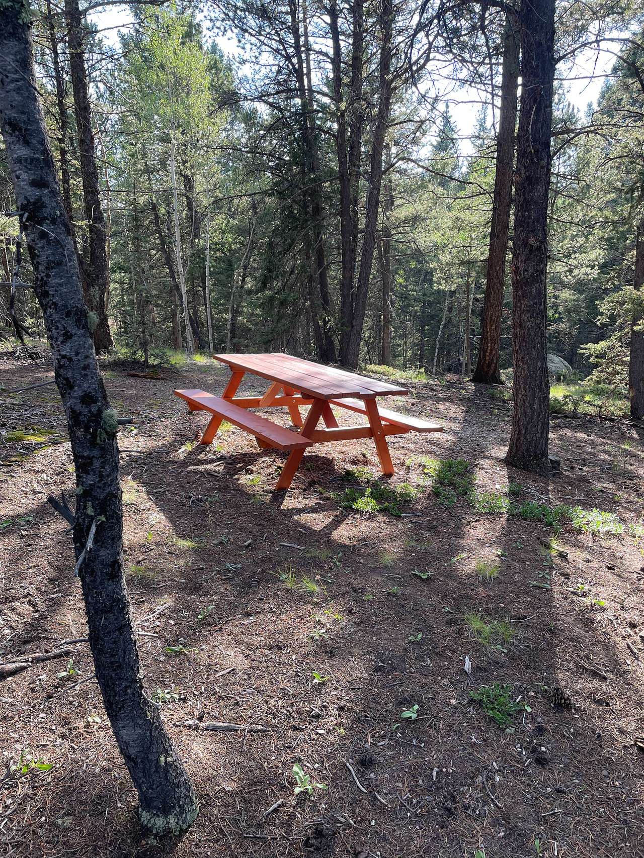 Table at site 3
