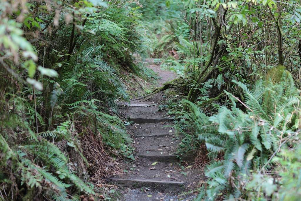 Knight Point State Park