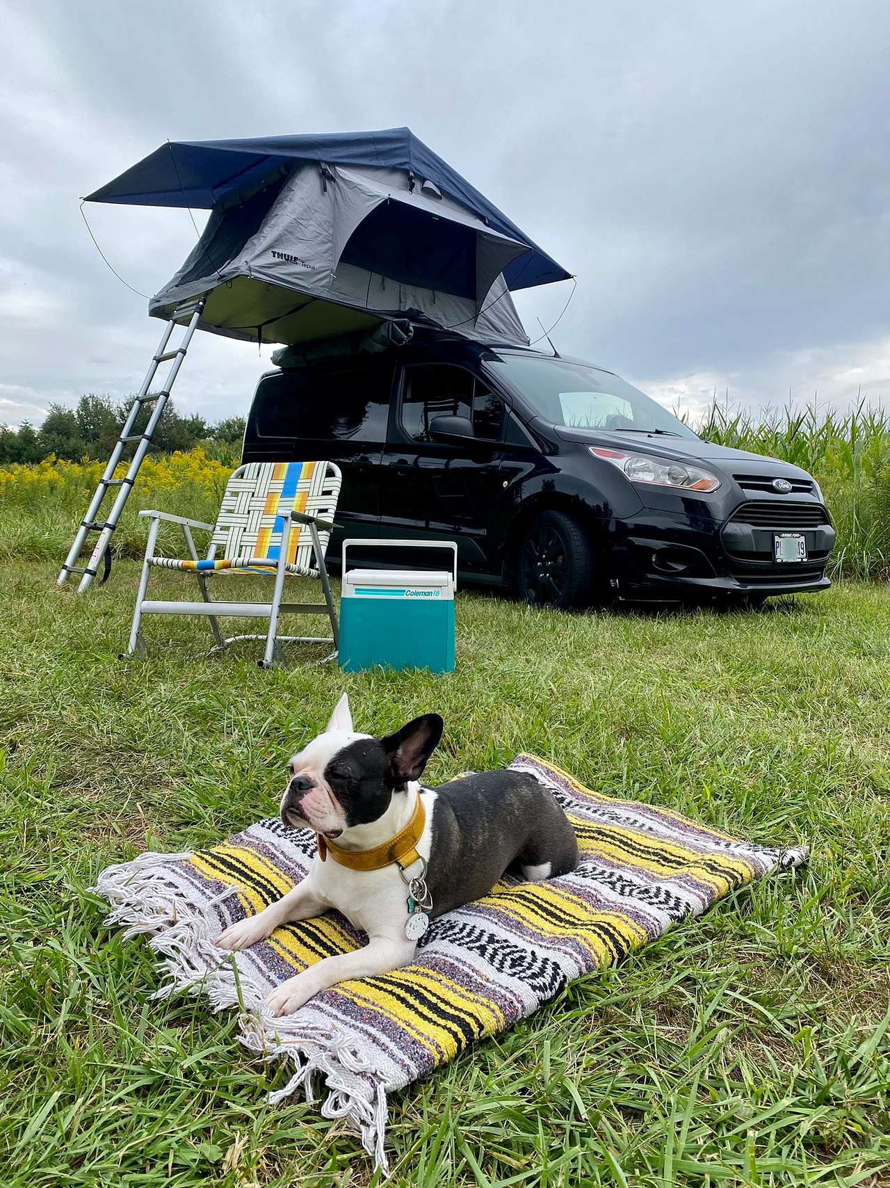 Stickley Family Farms