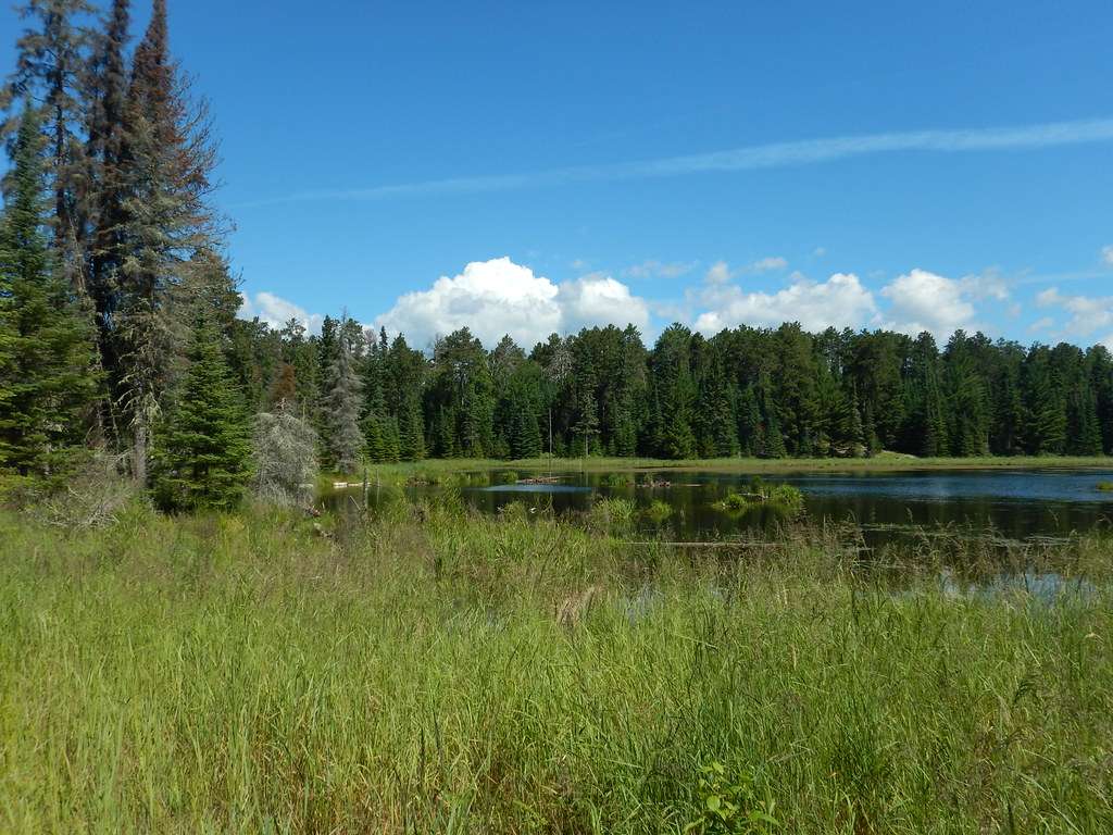 Caliper Lake Provincial Park