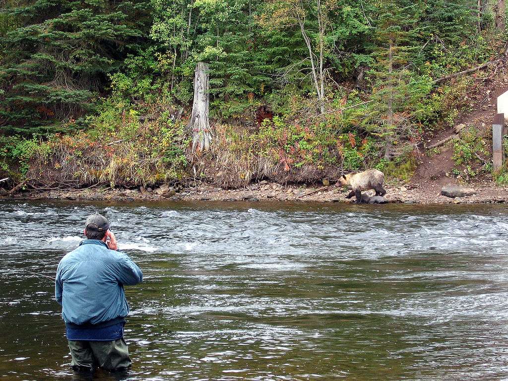 Babine River Corridor Provincial Park