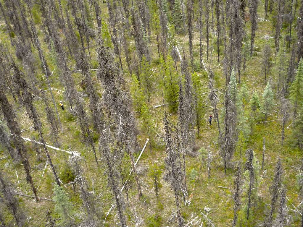 Crooked River Provincial Park