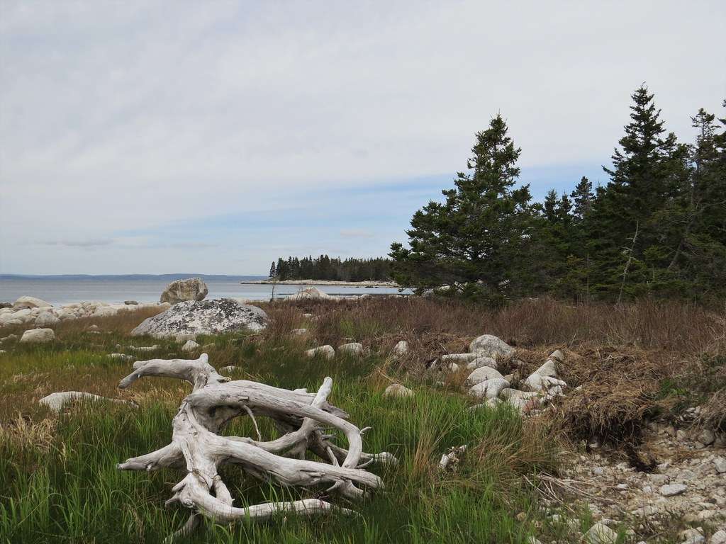 Black Duck Cove Provincial Park