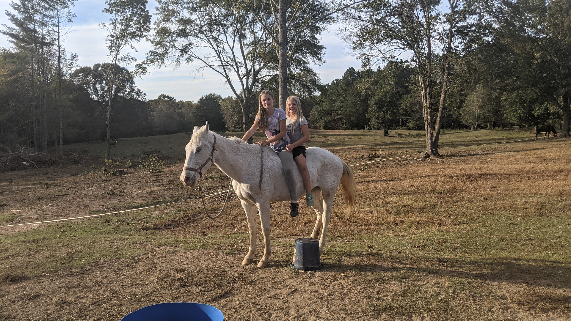 Oak Creek Horse Farm