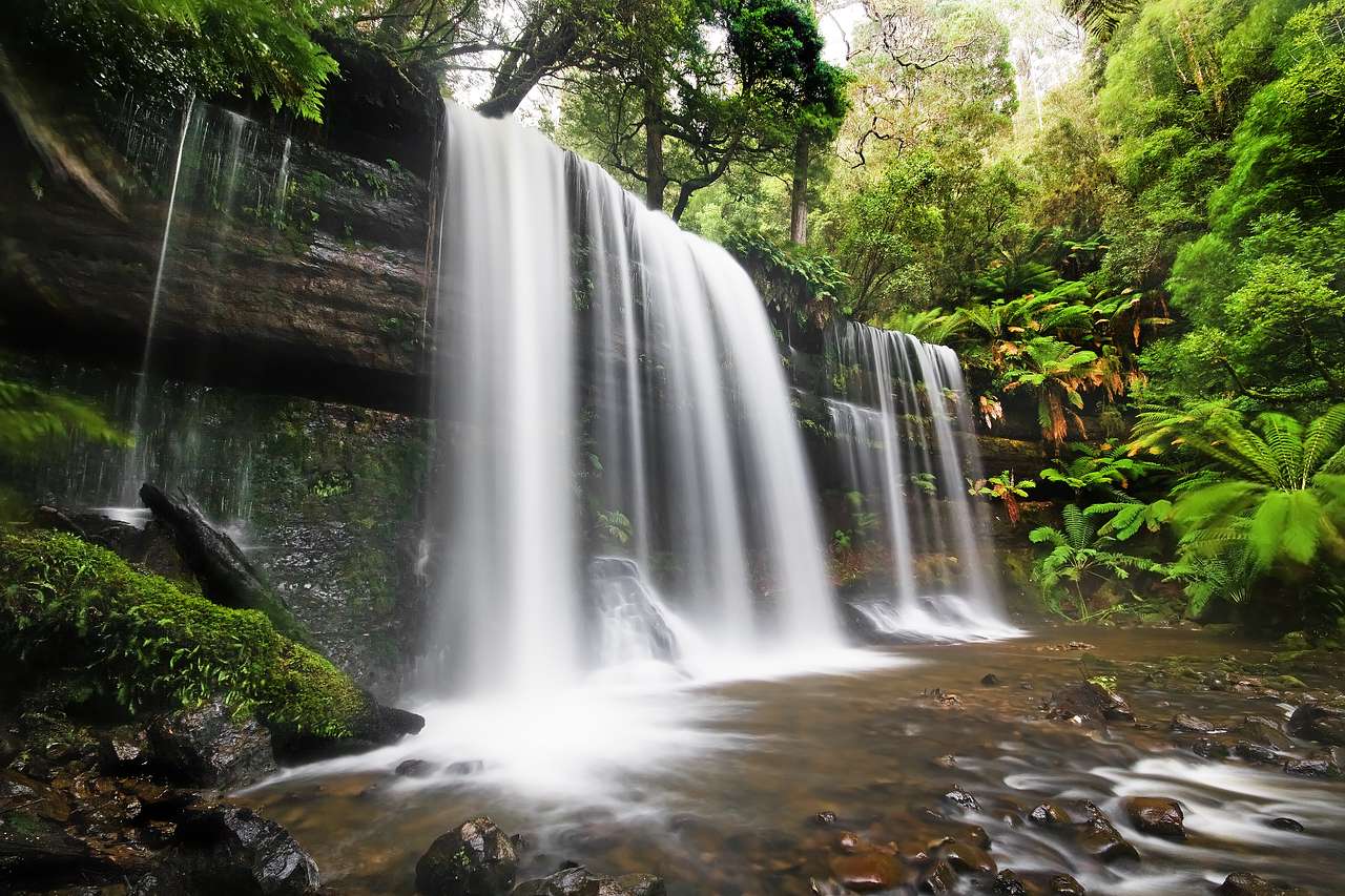 Mount Field National Park
