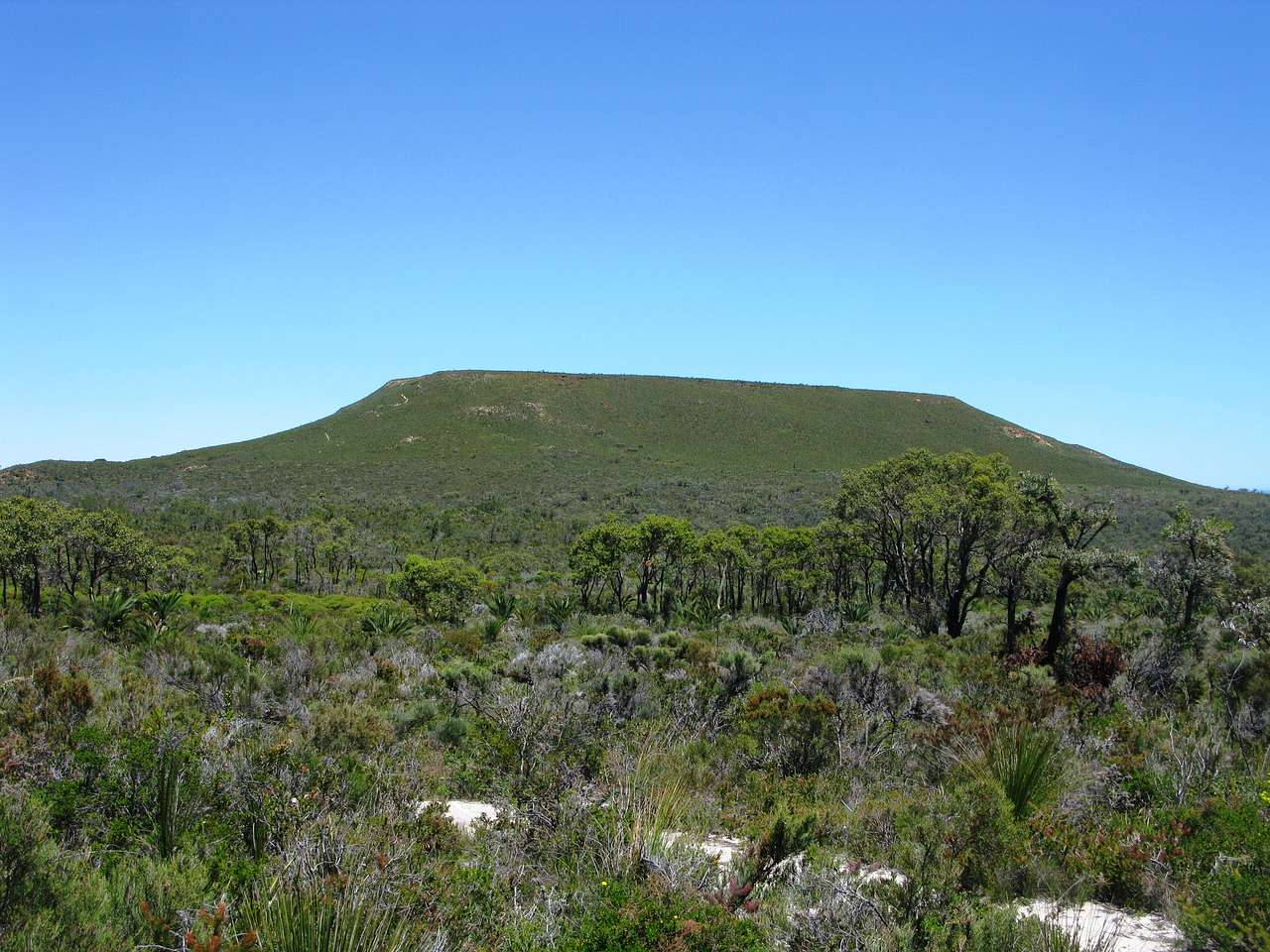 Lesueur National Park