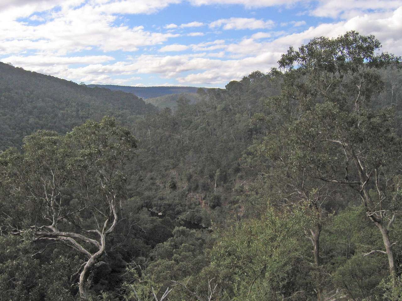 Mitchell River National Park