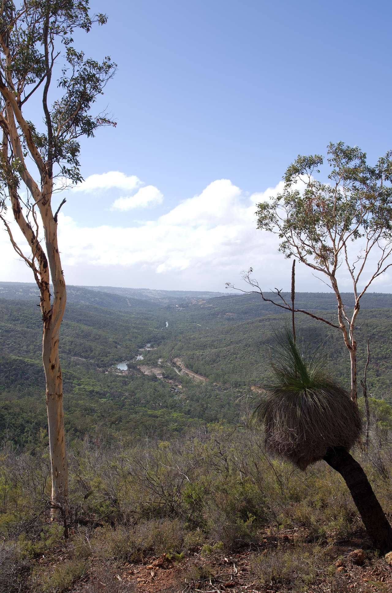 Avon Valley National Park