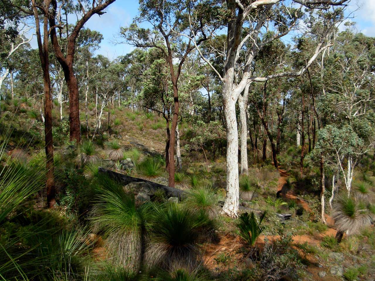 Beelu National Park