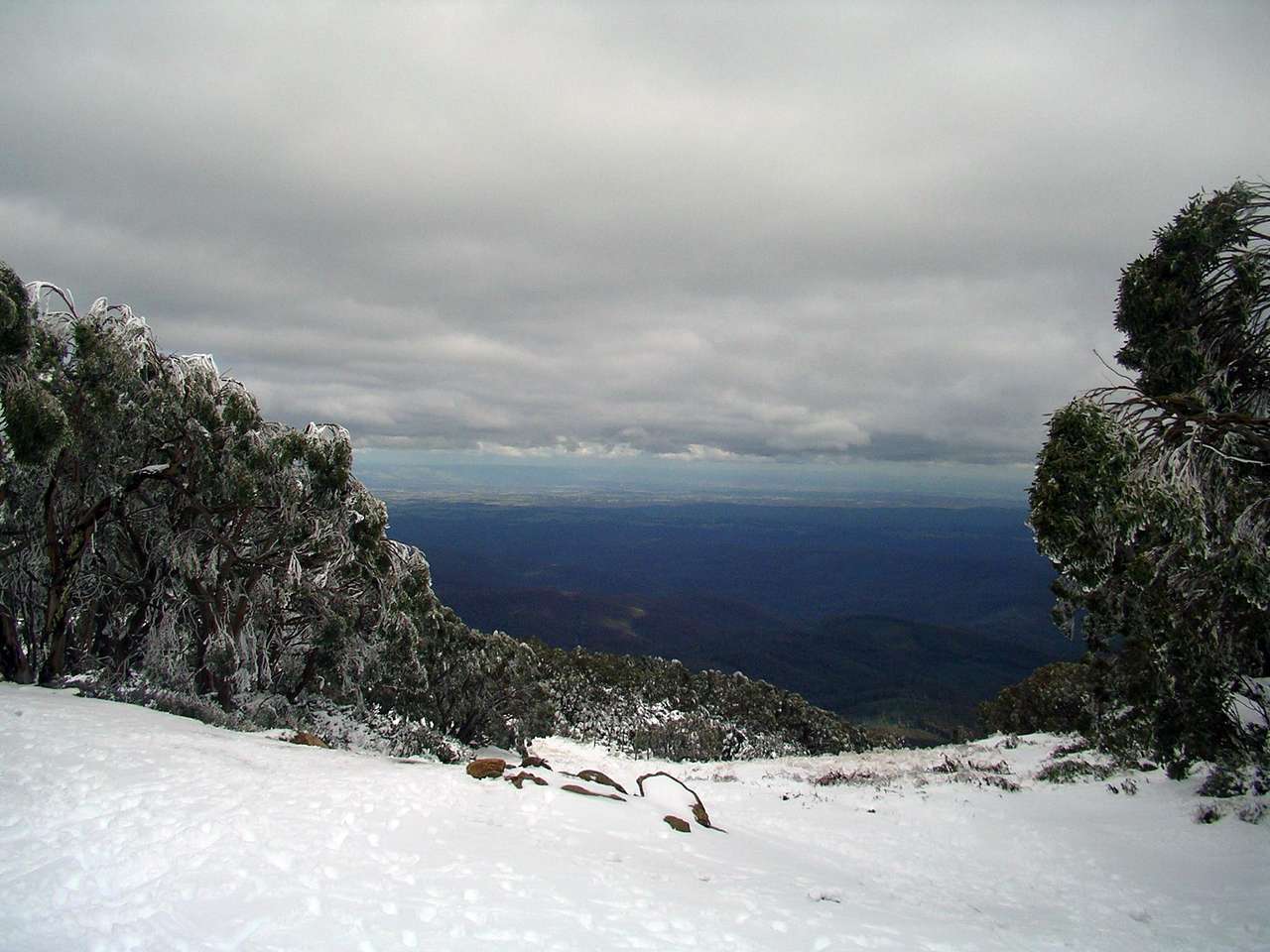 Baw Baw National Park