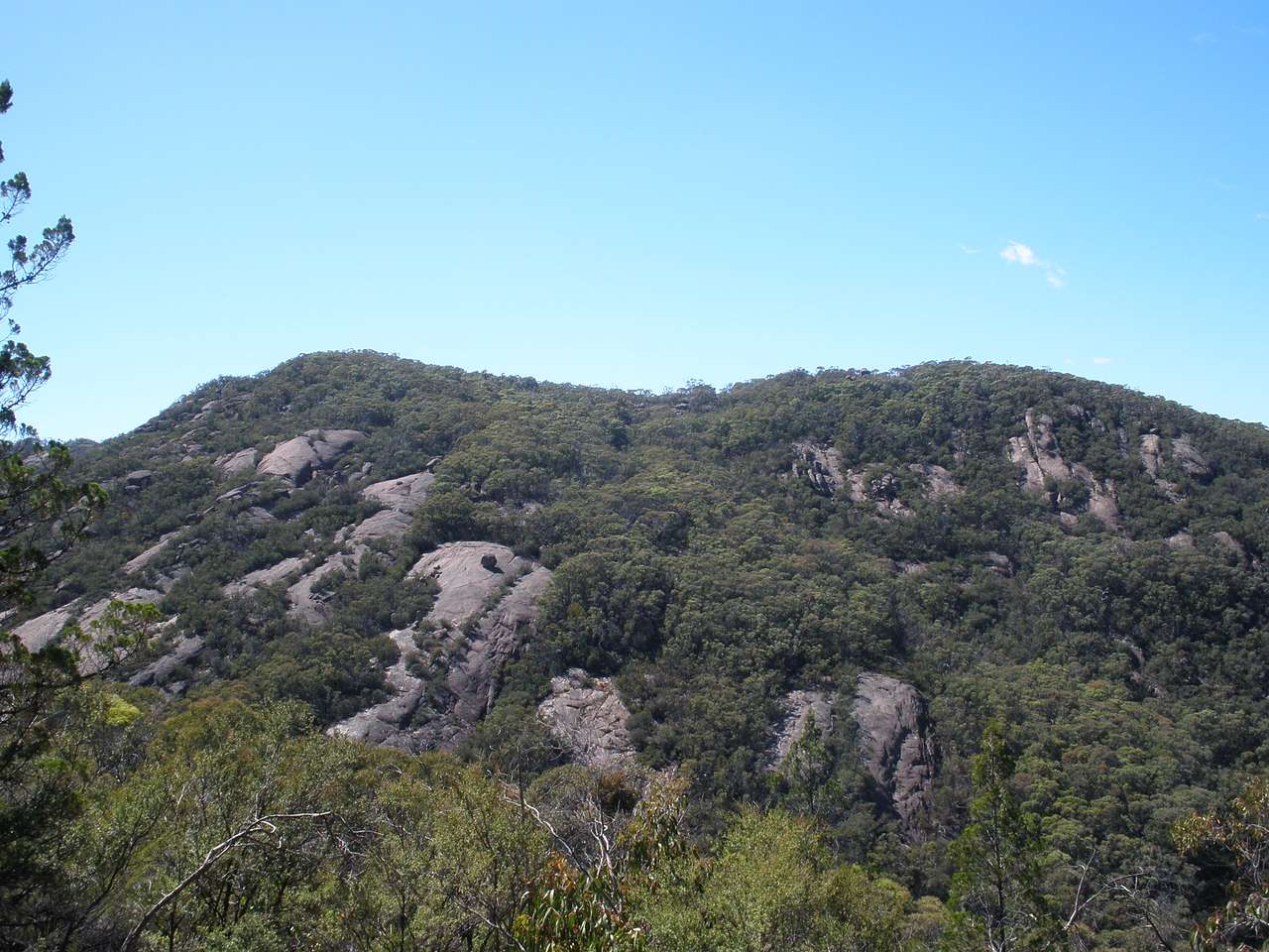 Burrowa-Pine Mountain National Park
