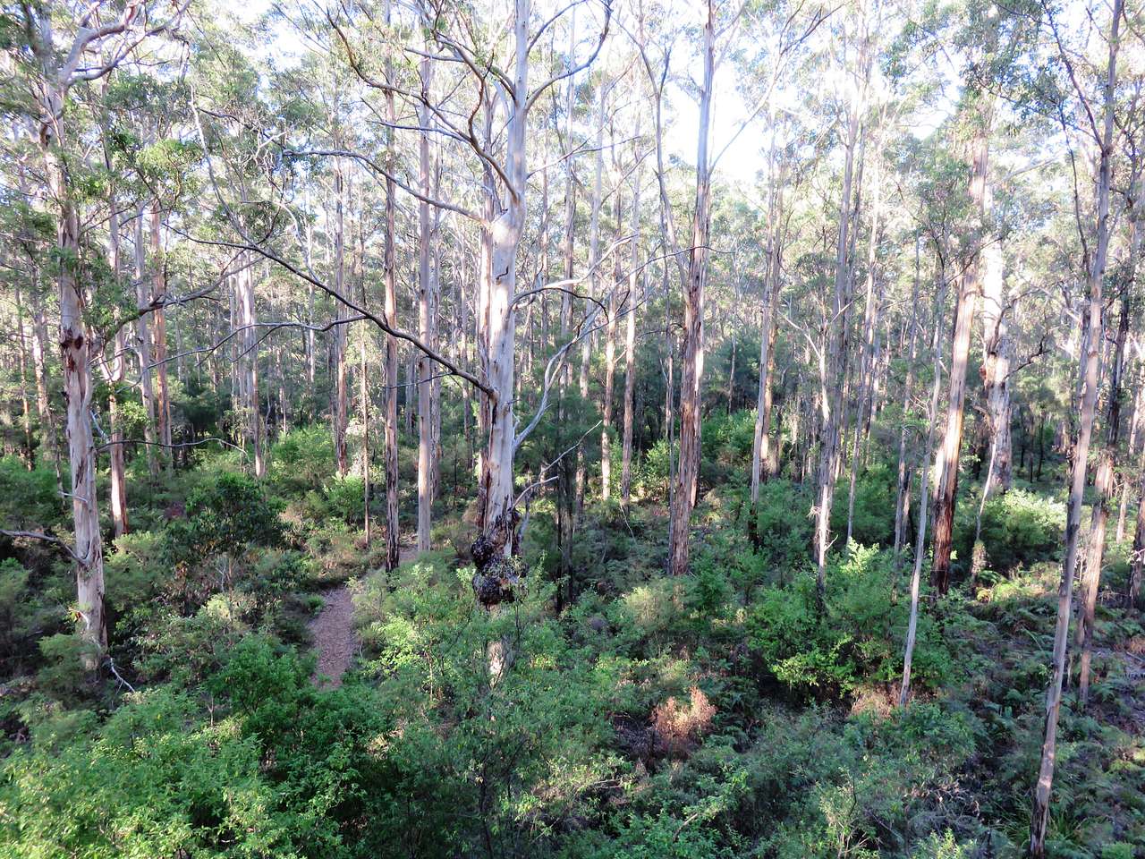 Gloucester National Park