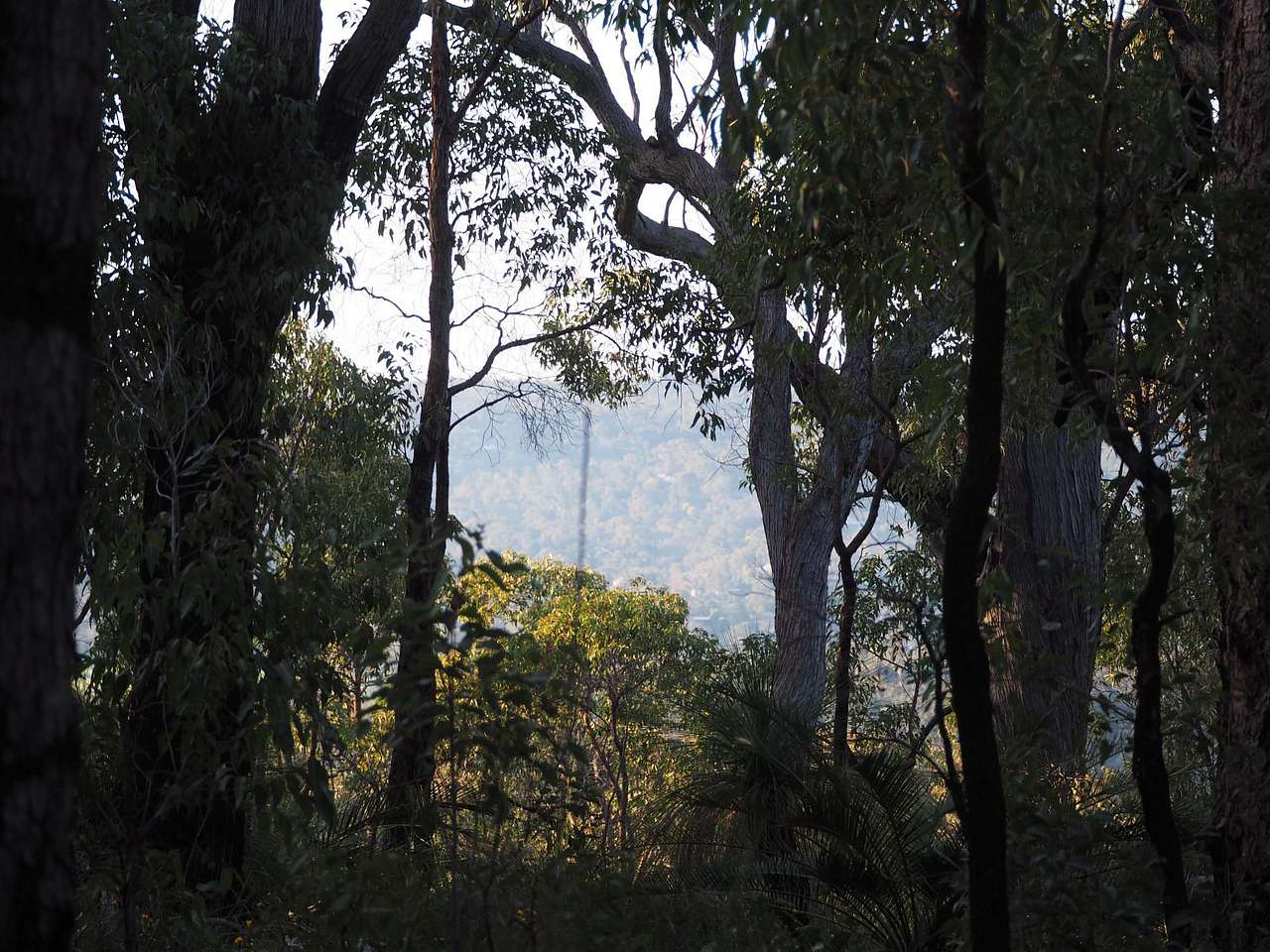 Gooseberry Hill National Park