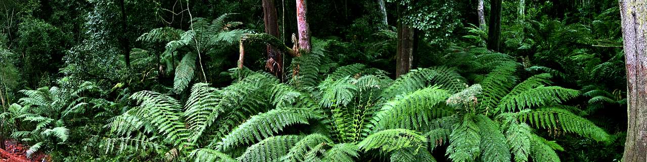 Alfred National Park