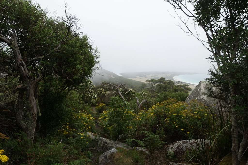 Strzelecki National Park