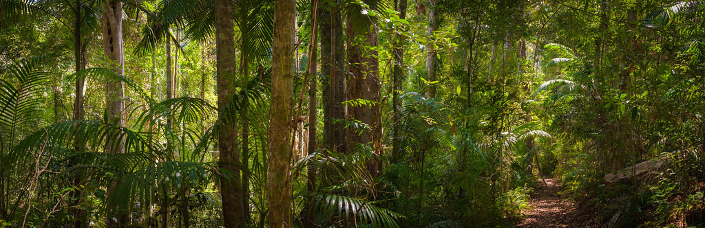 D'Aguilar National Park