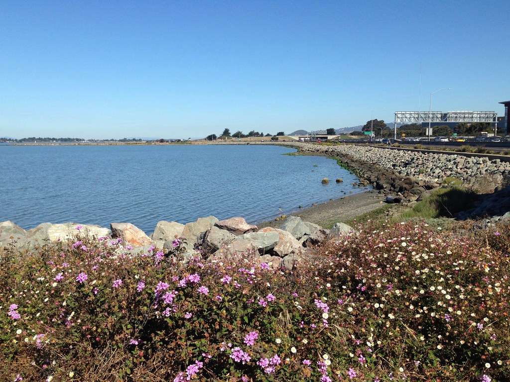 McLaughlin Eastshore State Park