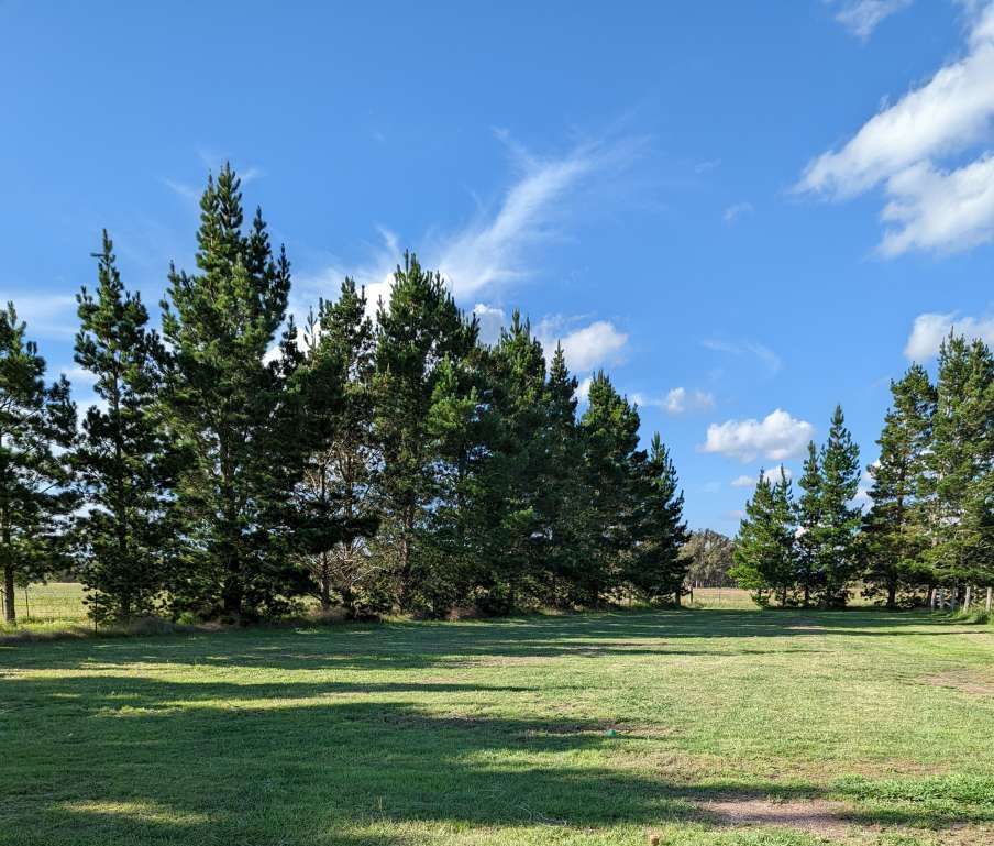 The Hobby Sheep Farm