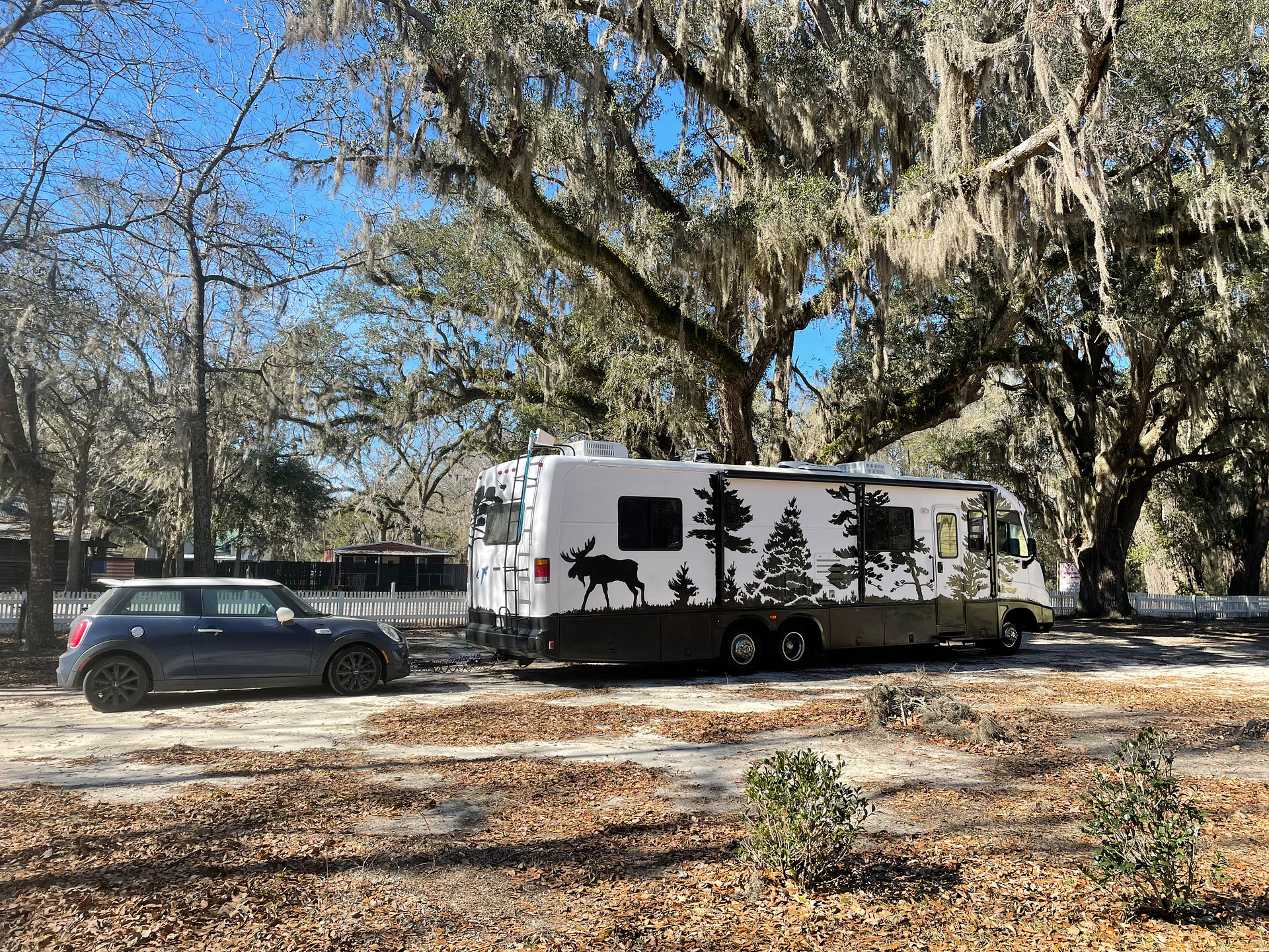Beautiful trees on the property. 