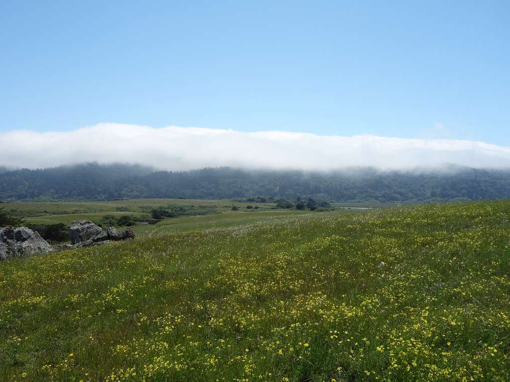 Tomales Bay State Park