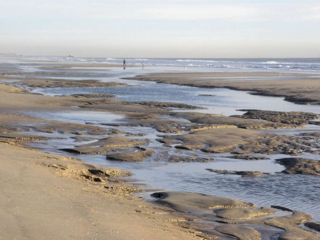 Huntington State Beach