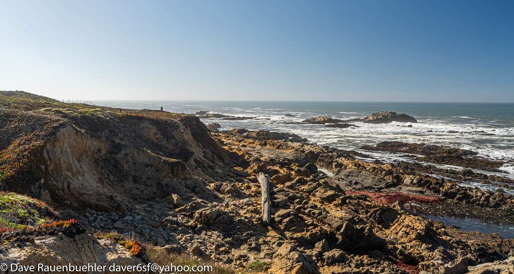 Bean Hollow State Beach