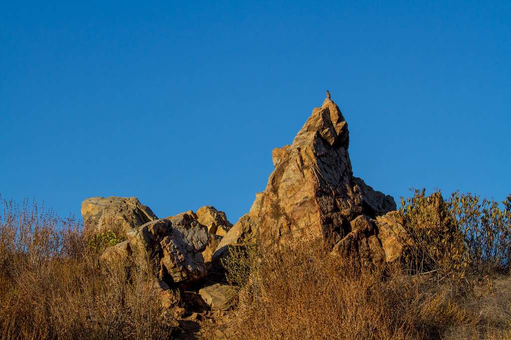 Placerita Canyon State Park
