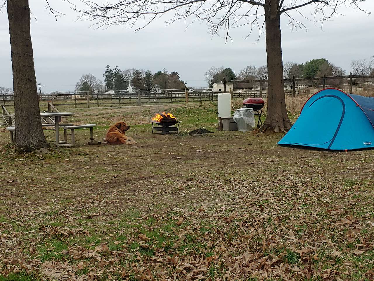 Bellview Farm
