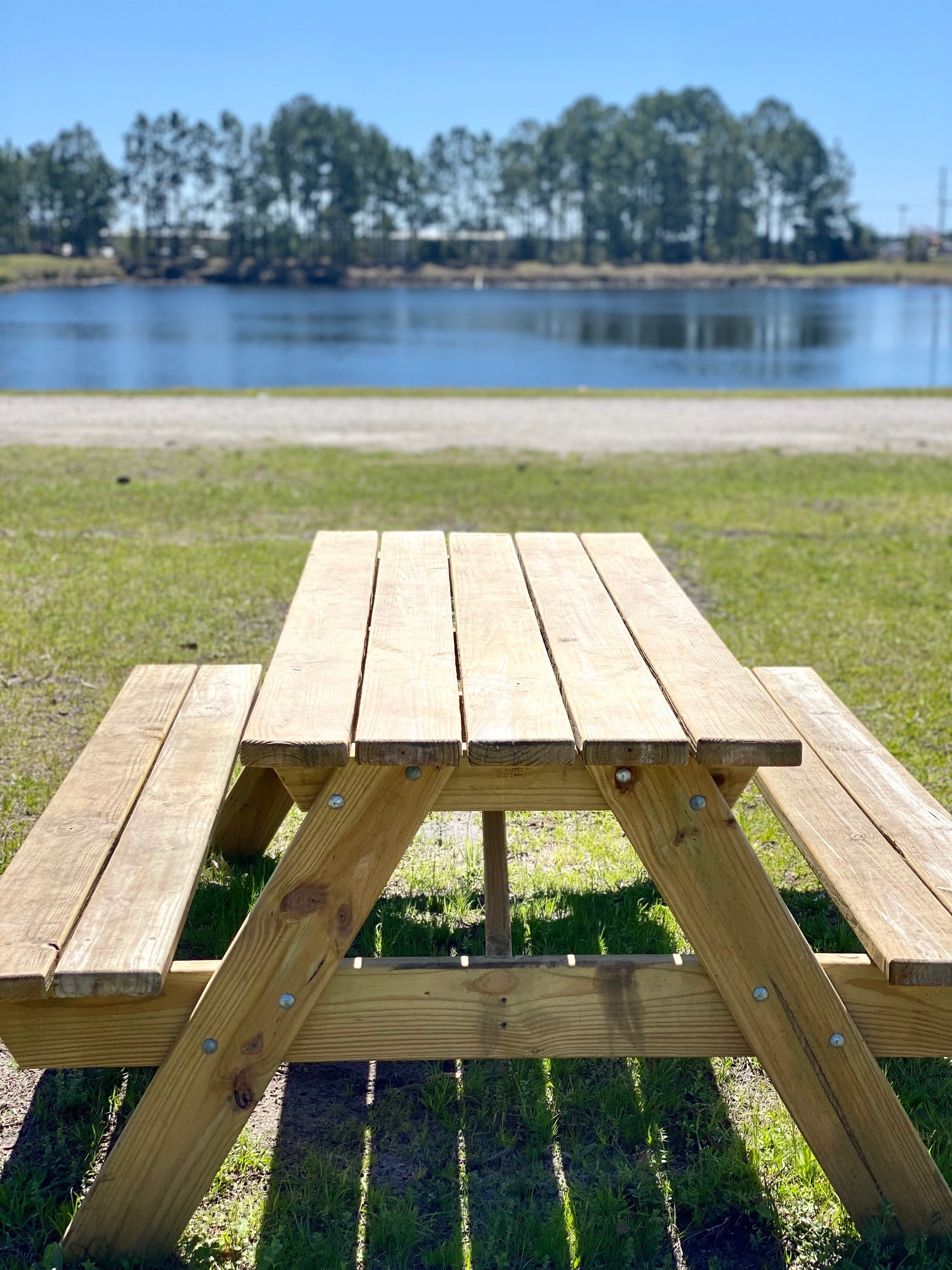 A picnic by the lake? Yes Please!